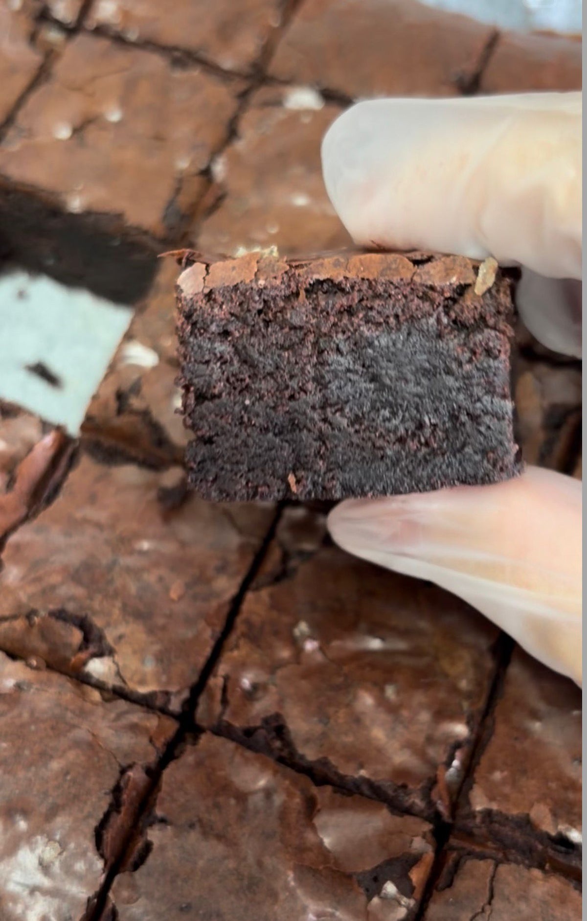 Today's Bake — Classic Fudgy Brownie Cubes